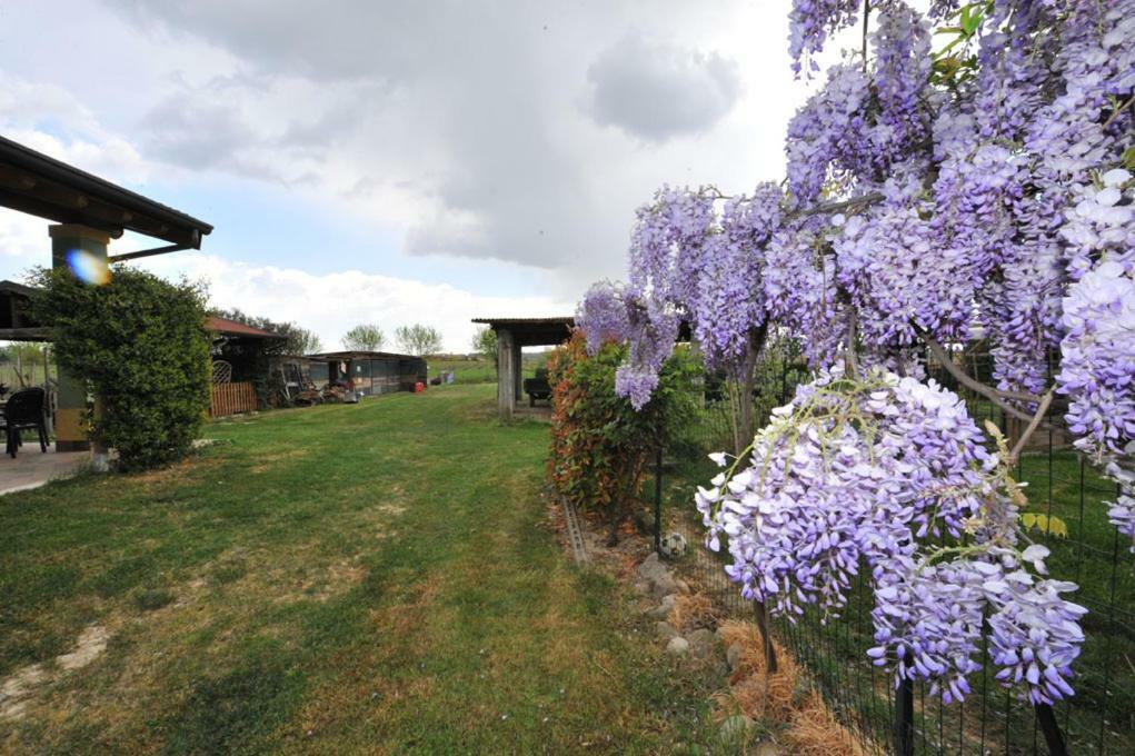 Agriturismo Lizzarola Peschiera del Garda Exterior foto